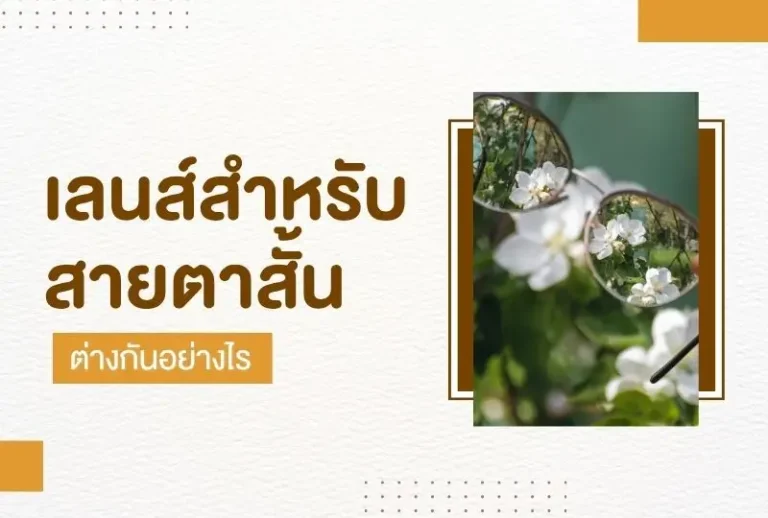 เลนส์สำหรับสายตาสั้นมีกี่แบบ ต่างกันอย่างไร