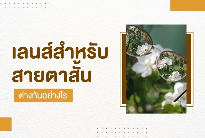 เลนส์สำหรับสายตาสั้นมีกี่แบบ ต่างกันอย่างไร