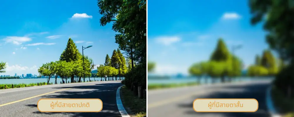 รูปเปรียบเทียบระหว่างสายตาปกติ และ สายตาสั้น ว่ามองเห็นต่างกันอย่างไร